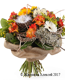 ����� �������� ���������