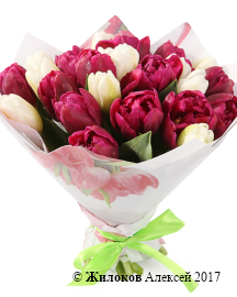 ����� 25 ����������� ���������, ��������� ����