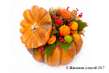 ���������� ���� � ������ � �����