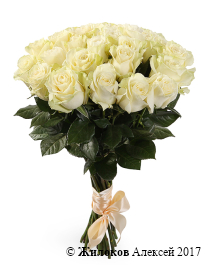 ����� 21 ���� ��������