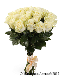 ����� 21 ���� ��������