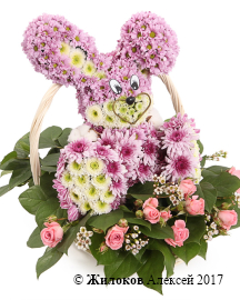 ���������� �� ��������� �����