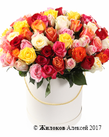 ����� ����������� ������� (101 ����) � ������� �������