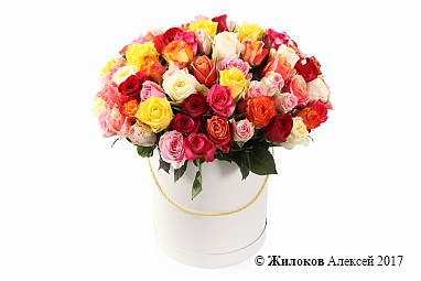 ����� ����������� ������� (101 ����) � ������� �������