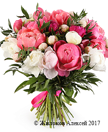 ����� � ������� ��������� ���������