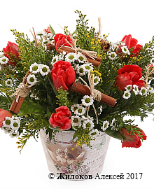 ����� ������ �����