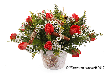 ����� ������ �����