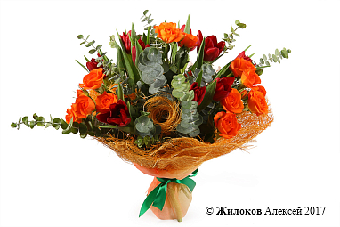 ����� ������� � ����