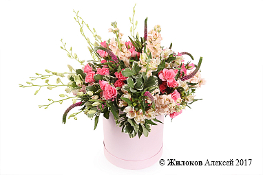 ����� �������� ���� � ������� �������