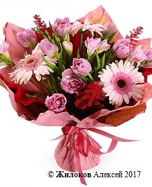 ����� ������� �������