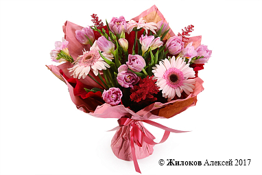 ����� ������� �������