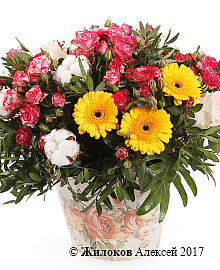 ����� ��� �����