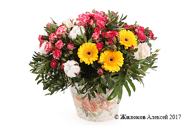 ����� ��� �����