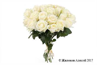 ����� 21 ���� ������� 60/70 ��