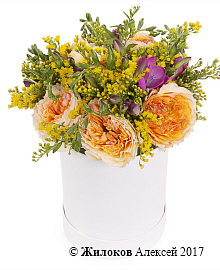 ����� ������������ �������� � ������� �������