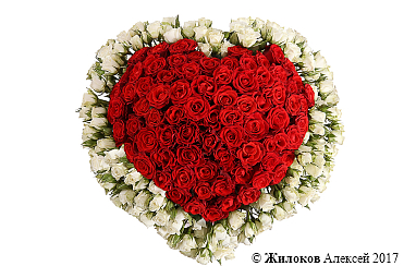 ���������� ������� ������