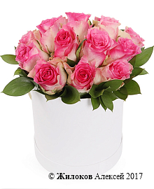 ����� �������� ������ � ������� �������