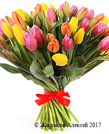 ����� 51 �������, ��������� ����