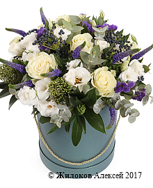 ����� ������ ������ � ������� �������