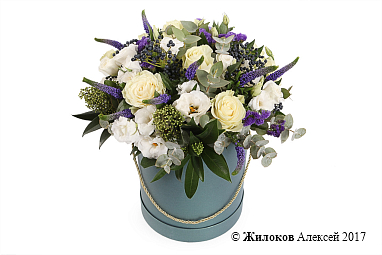 ����� ������ ������ � ������� �������