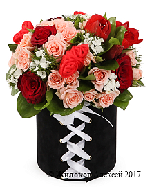 ����� �������� ������ � ������� �������