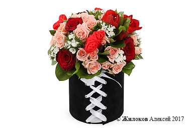 ����� �������� ������ � ������� �������