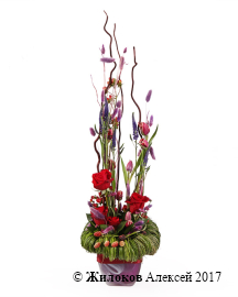 ���������� ��� �� � ����