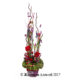 ���������� ��� �� � ����