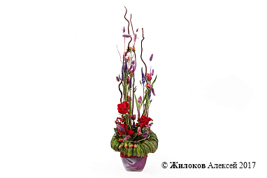 ���������� ��� �� � ����