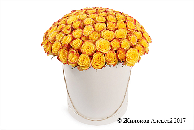 ����� 101 ���� ��� ����� � ������� �������