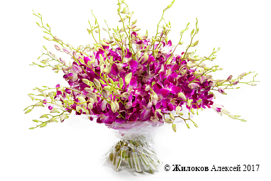 ����� 50 �������