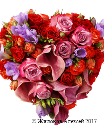 ����� ������� ������ �����