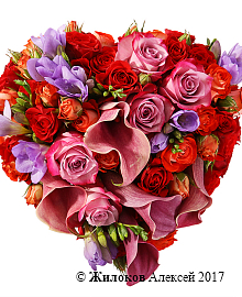 ����� ������� ������ �����