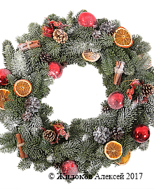 ����� �������� ���������