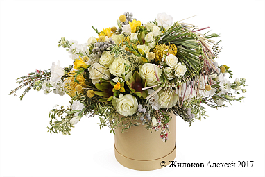 ����� ������� � ������� � ������� �������