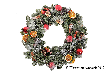 ����� �������� ���������