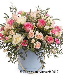 ����� �������� �������� � ������� �������