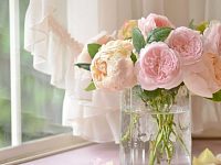 ����� ����� ����� ����� � ���� � ��� ����� ��������