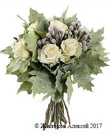 ����� ������ ������