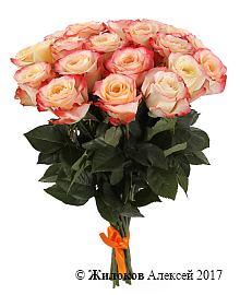 ����� 17 ��� ������