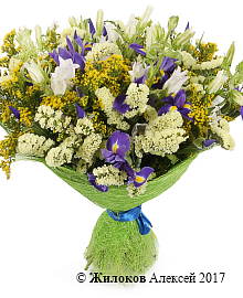 ����� ��������