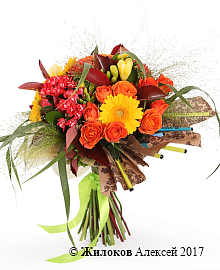 ����� �������� ���������