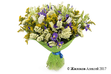 ����� ��������