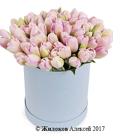 ����� 101 ����������� ������� � ������� �������, ���������