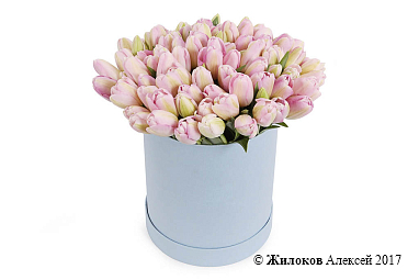 ����� 101 ����������� ������� � ������� �������, ���������