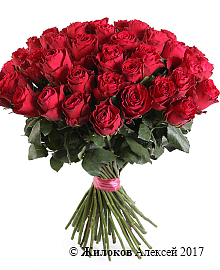 ����� 51 ���� �����