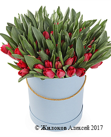 ����� �������� ���� � ������� �������