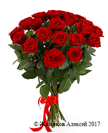 ����� 21 ������� ���� 60/70 ��