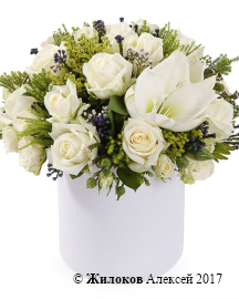 ����� ��������� ����� � ������� �������