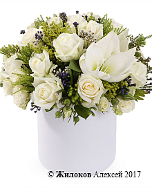 ����� ��������� ����� � ������� �������